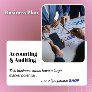 Accounting and Auditing Business Plan